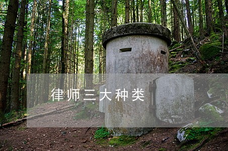 律师三大种类 律师三大种类