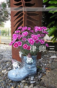 律师三清证明