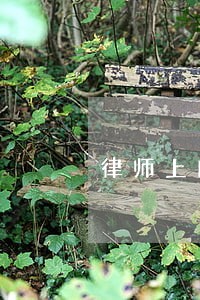 律师上门助力 律师上门助力