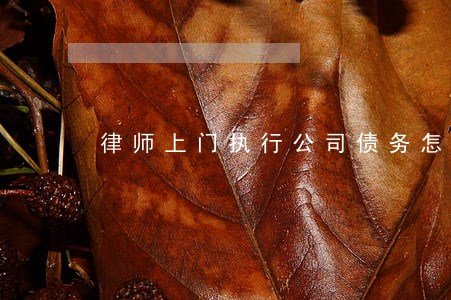 律师上门执行公司债务怎么办 律师上门执行公司债务怎么办
