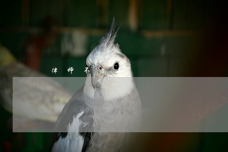 律师不办事 律师不办事