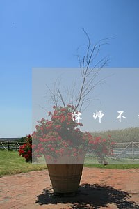 律师不参加庭审的原因