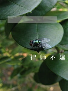 律师不建议取保是什么原因 律师不建议取保是什么原因