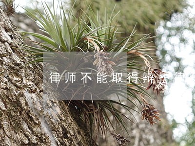 律师不能取得辩护律师的地位 律师不能取得辩护律师的地位
