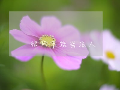 律师不能当法人 律师不能当法人