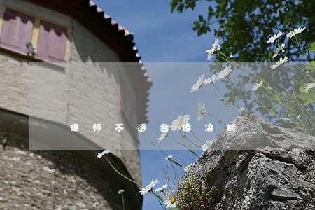 律师不适合做决断 律师不适合做决断