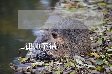 律师不错 律师不错