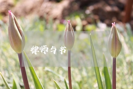 律师与书