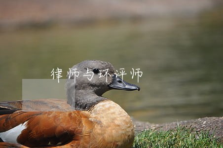 律师与环评师 律师与环评师