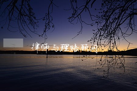 律师与理赔顾问