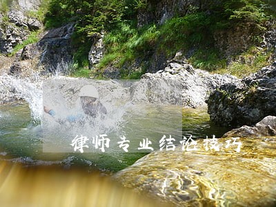 律师专业结论技巧 律师专业结论技巧