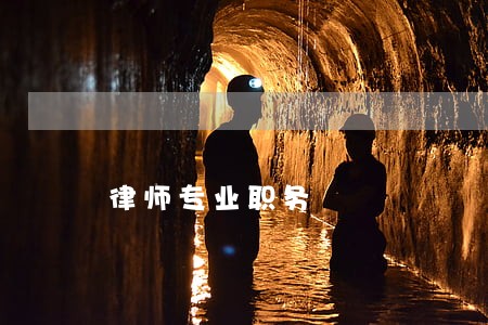 律师专业职务