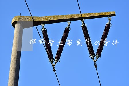 律师专业需要什么条件 律师专业需要什么条件