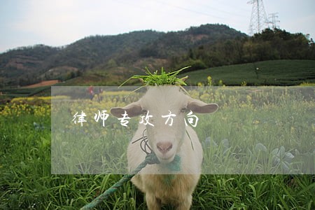 律师专攻方向 律师专攻方向