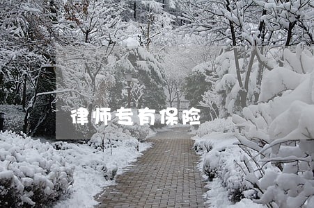 律师专有保险 律师专有保险