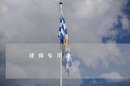 律师专用伞 律师专用伞
