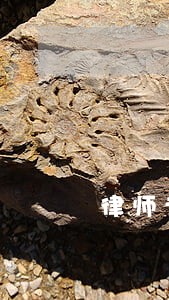 律师专项治理自查存在问题 律师专项治理自查存在问题