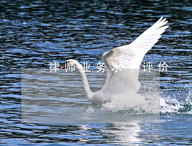 律师业务水平评价 律师业务水平评价
