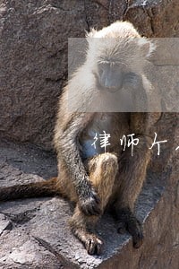 律师个人信用承诺书 律师个人信用承诺书