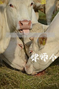 律师个人成立调解工作室电话 律师个人成立调解工作室电话