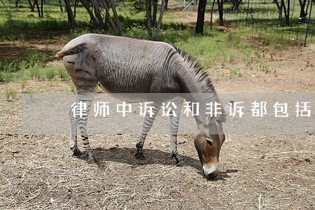 律师中诉讼和非诉都包括什么