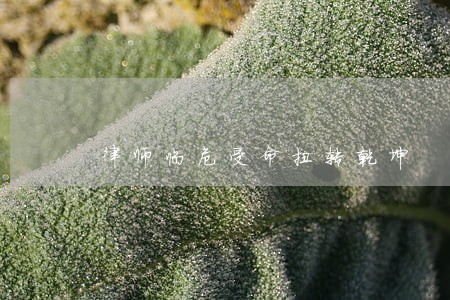 律师临危受命扭转乾坤