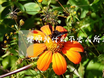 律师为什么不受人所看好 律师为什么不受人所看好