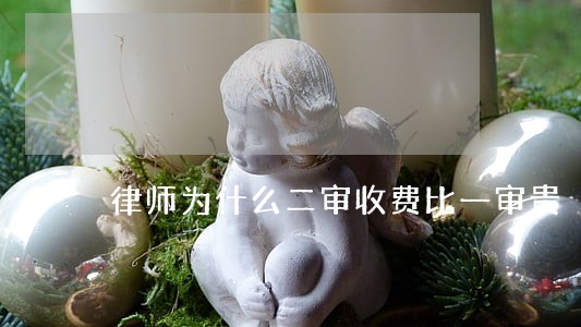 律师为什么二审收费比一审贵 律师为什么二审收费比一审贵