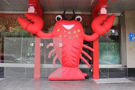 律师为您 律师为您