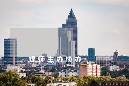 律师主办协办 律师主办协办