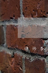 律师举报政府部门伪造国家公文 律师举报政府部门伪造国家公文
