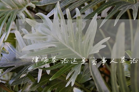 律师举证还是当事人举证 律师举证还是当事人举证