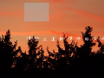 律师之道新律师的必修课 律师之道新律师的必修课