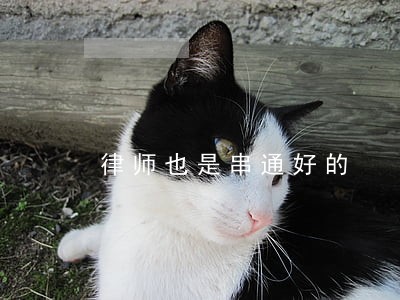 律师也是串通好的 律师也是串通好的