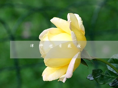 律师也有教授 律师也有教授
