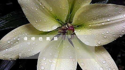 律师也美丽 律师也美丽