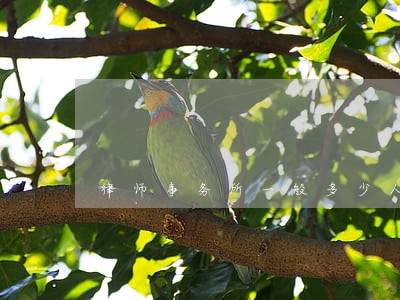 律师事务所一般多少人 律师事务所一般多少人