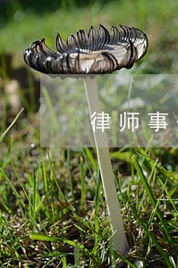 律师事务所信用卡逾期 律师事务所信用卡逾期