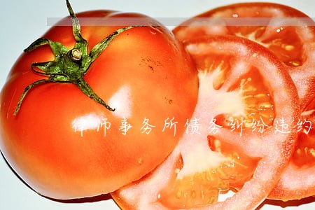 律师事务所债务纠纷违约 律师事务所债务纠纷违约