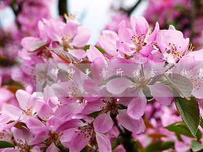 律师事务所债务纠纷靠谱吗 律师事务所债务纠纷靠谱吗