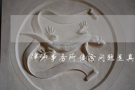 律师事务所债务问题是真的吗 律师事务所债务问题是真的吗