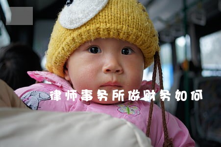 律师事务所做财务如何 律师事务所做财务如何