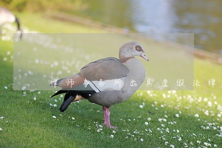 律师事务所出具虚假法律意见书 律师事务所出具虚假法律意见书