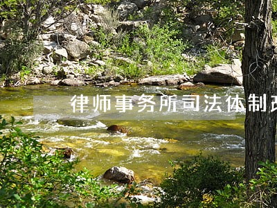 律师事务所司法体制改革 律师事务所司法体制改革