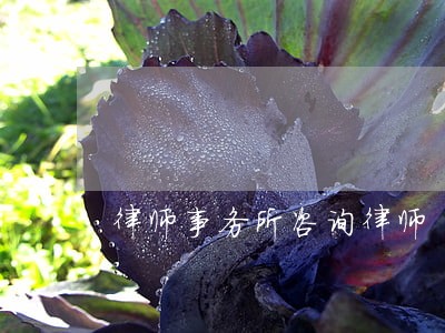 律师事务所咨询律师 律师事务所咨询律师
