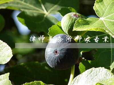 律师事务所哪家专业 律师事务所哪家专业