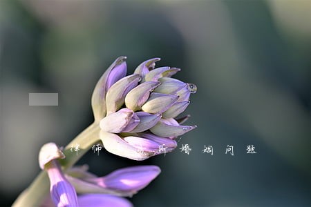律师事务所婚姻问题 律师事务所婚姻问题