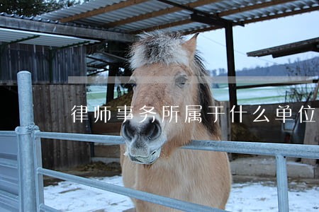 律师事务所属于什么单位性质 律师事务所属于什么单位性质