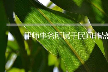 律师事务所属于民间非盈利组织吗 律师事务所属于民间非盈利组织吗