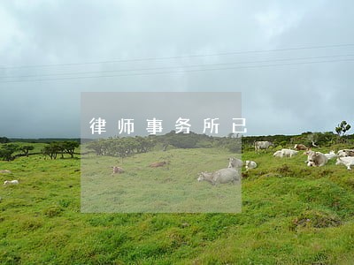律师事务所已 律师事务所已